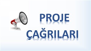 PROJE ÇAĞRILARI